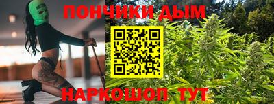 сатива Моздок