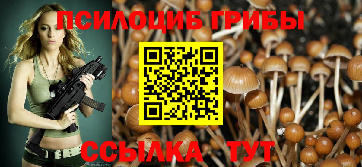 Галлюциногенные грибы Psilocybe  Галлюциногенные грибы ЛСД  Туймазы  Вход с VPN 